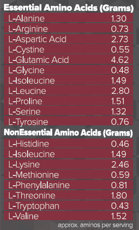 TeamOne ISO Whey Protein